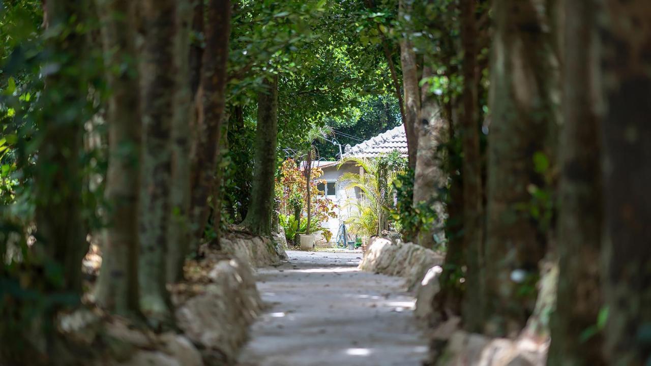 La Ohana～瀬底島～（2022年open） Okinawa Eksteriør billede
